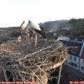 06_15-nest.jpg