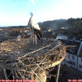 06_30-nest.jpg
