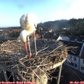 06_40-nest.jpg