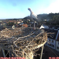 06_45-nest.jpg