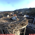 06_55-nest.jpg