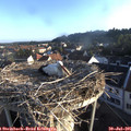 07_00-nest.jpg