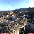 07_05-nest.jpg