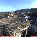 07_25-nest.jpg