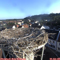 07_30-nest.jpg