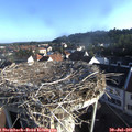 07_35-nest.jpg