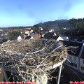 07_40-nest.jpg
