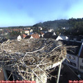 07_45-nest.jpg