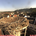 08_00-nest.jpg