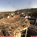 08_20-nest.jpg