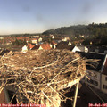 08_25-nest.jpg
