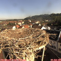 08_45-nest.jpg