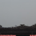 09_00-mast.jpg
