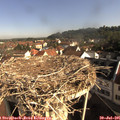 09_00-nest.jpg