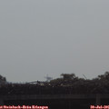 09_10-mast.jpg