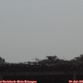 09_15-mast.jpg