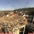 09_15-nest.jpg