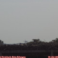 09_20-mast.jpg