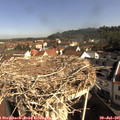 09_25-nest.jpg