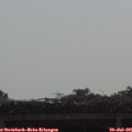 09_35-mast.jpg
