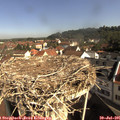 09_35-nest.jpg