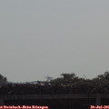 09_40-mast.jpg