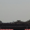 09_45-mast.jpg