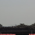 09_55-mast.jpg