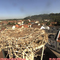 10_05-nest.jpg