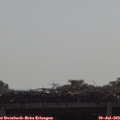 10_15-mast.jpg