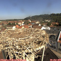 10_35-nest.jpg
