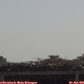 10_50-mast.jpg