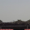 10_55-mast.jpg