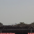 11_00-mast.jpg