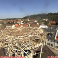 11_15-nest.jpg