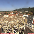 11_30-nest.jpg