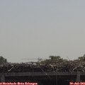 11_40-mast.jpg
