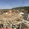 11_40-nest.jpg