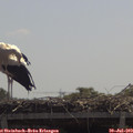 12_00-mast.jpg