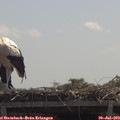 12_05-mast.jpg