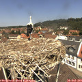 12_25-nest.jpg