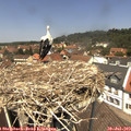 12_45-nest.jpg