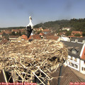 12_55-nest.jpg