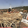 13_05-nest.jpg