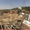 13_45-nest.jpg
