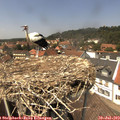 13_55-nest.jpg