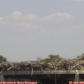 14_00-mast.jpg