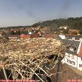 14_00-nest.jpg