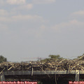 14_10-mast.jpg