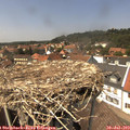 14_10-nest.jpg
